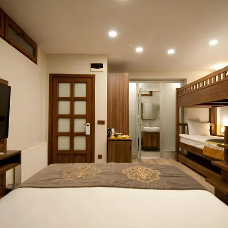 Ferman Hotel-special Category 3* Стамбул