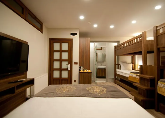 Ferman Hotel-special Category 3* Istanbul