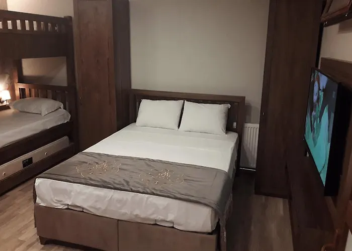 Hotel Ferman Hotel-special Category