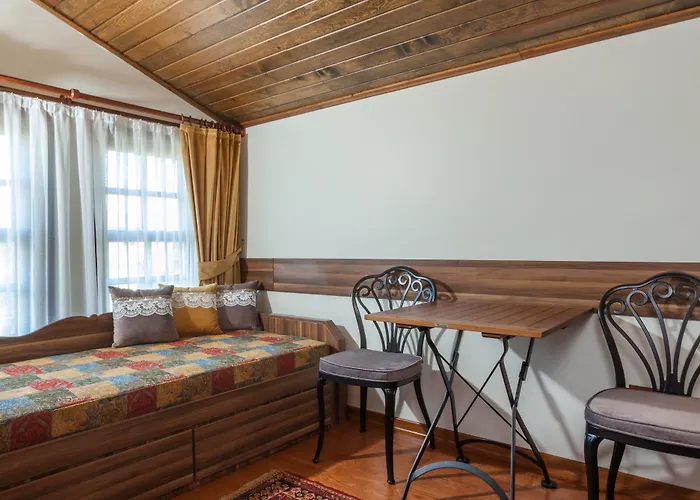 Ferman Hotel-special Category 3* Istanbul