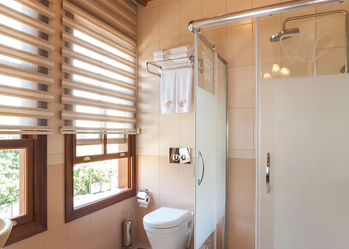 Ferman Hotel-special Category Hotel