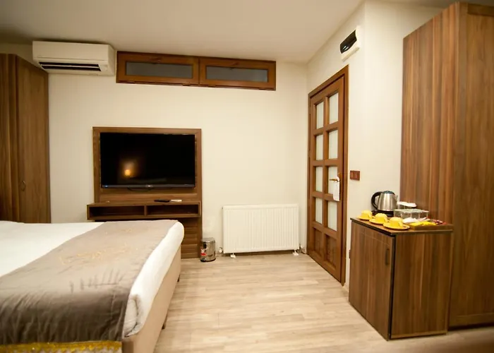 Hotel Ferman Hotel-special Category Istanboel