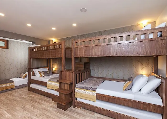 Hotel Ferman Hotel-special Category 3*