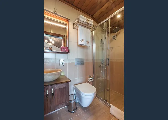 Hotel Ferman Hotel-special Category Istambul