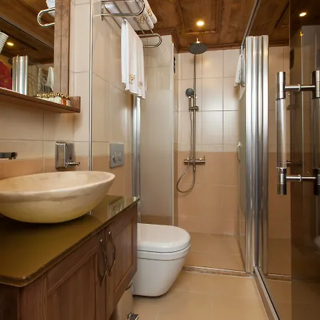 Ferman Hotel-special Category